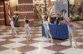 /album/galleria-foto-galleria-fotografica1/mg-0037-jpg/
